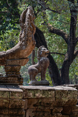 Fototapeta na wymiar Tempel im Angkor Park, Cambodia, 