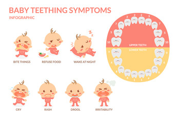 Baby teething symptoms. Rash, Drool, Irritability, Refuse food, Bite, Cry, Wake at night. Flat design.