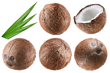 Coconut isolated on white background.  Collection