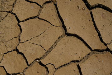 Fototapeta premium Detail Of Dry Ground On The Desert - Texture Pattern