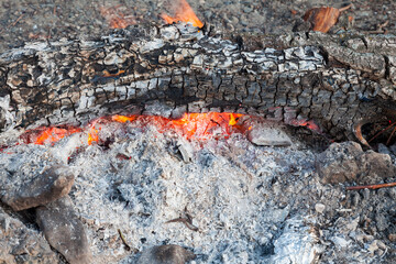 Close-up of embers from gray ash with streaks of orange flame in a bonfire in nature during the preparation of barbecue on the weekend. Pattern for wallpaper or for design.