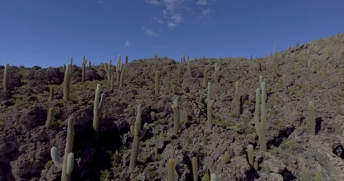 Famous Incahuasi Island also Known as Fishers Island in the Middle of Uyuni Salt Flat in Bolivia