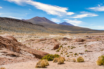 Laguna Colorada, Salar de Uyuni, Bolivie
