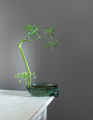 Flower arrangement with a minimum number of plants. Ikebana. Minimalism.