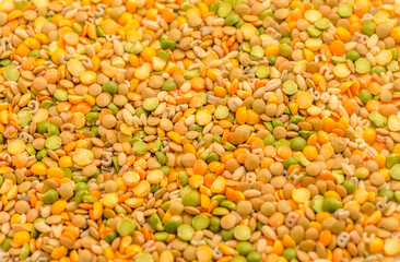 Soup Mix