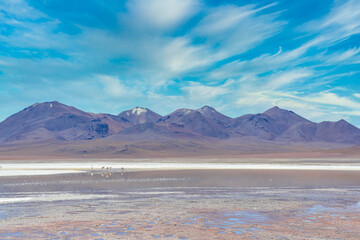 Laguna Colorada, Salar de Uyuni, Bolivie
