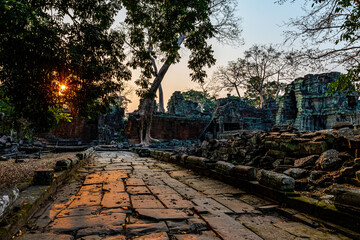 Tempel im Angkor Park, Cambodia,  - 363602119