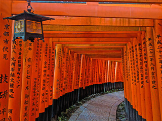 Torri Gates and Lantern in Kyoto