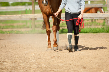 Horse with human