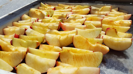 red apples sliced and drying on air at summer