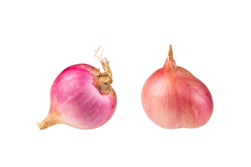 Raw Shallot onion (Allium ascalonicum) isolated on white background