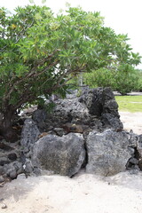 Marae de Taputapuātea à Raiatea, Polynésie française