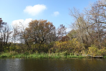 Fototapeta na wymiar autumn landscape with trees and lake
