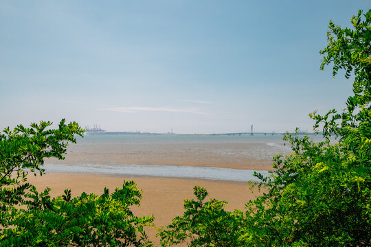 Oido seascape with green leaves in Siheung, Korea