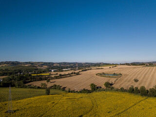 campi di grano e girasole sulle colline di Pesaro Marche Italia