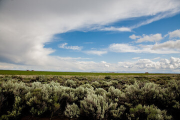 Clearing afrter a thunderstorm; sage brush and hay field near Burns, Oregon.