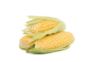 Fresh raw corn isolated on white background
