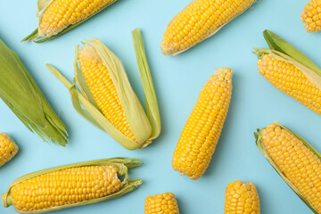 Flat lay with fresh raw corn on blue background, top view