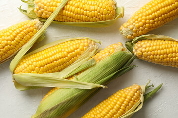 Fresh raw corn on white background, top view