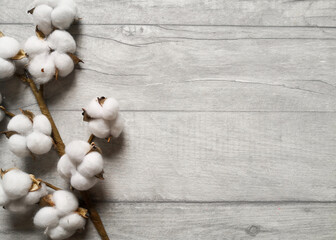 Flat lay with cotton flower on grey wooden surface. Copy space, top view, from above. Greeting card and invitation template.
