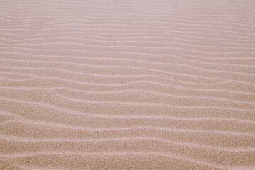 White Sand dunes background texture. sand texture. Pattern of sand. Beautiful sand dune in sunrise in the desert.