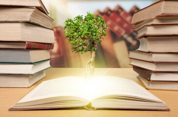 Stack of old books and tree, education concept