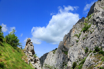 Spring landscape in Piatra Secuiului Mountain (1129m), Transylvania, Romania, Europe