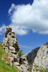 Spring landscape in Piatra Secuiului Mountain (1129m), Transylvania, Romania, Europe