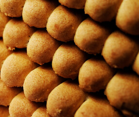 Biscuit Texture Closeup Details