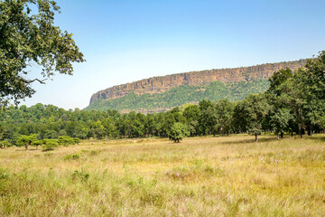 Fototapeta premium Bandhavgarh Hill in Bandhavgarh Tiger Reserve, Madhya Pradesh, India.