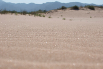 Bright beach sand with dunes in the background