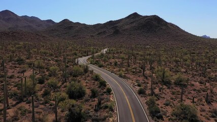 Aerial of a motorcycle on a desert highway road with Saguaro cactus all around.