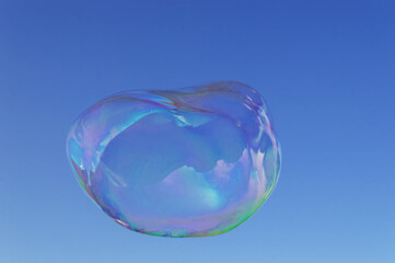  large iridescent soap bubble with oval shape