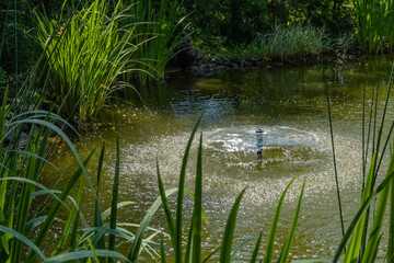 Beautiful umbrella fountain in garden pond among evergreens and aquatic plants on stone shore. Evergreen landscaped garden. Nature concept for design. Place for your text.