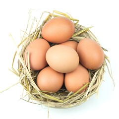 Eggs in the basket Isolated on White Background.