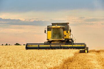 Combine harvester working in wheat field with cloudy moody sky. Harvesting machine driver cutting crop in a farmland. Agriculture theme, harvesting season.