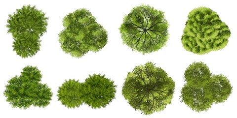 set of tree top view for landscape plan and architecture element