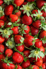 freshly harvested strawberries, close-up strawberries concept