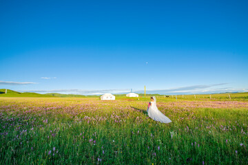 The woman in the wedding dress is in the prairie.