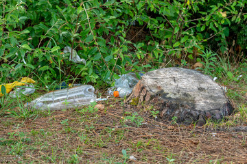 Polluted environment, plastic bottles in the forest