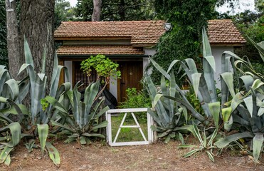 old wooden house