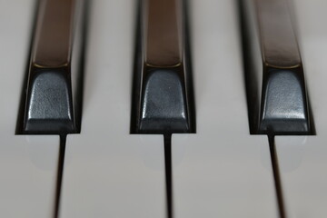 Drei schwarze und vier weiße Klaviertasten sehr nah fotografiert. 