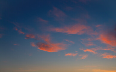 Fototapeta premium Light orange clouds in the rays of the setting sun. The dark blue sky. Beautiful natural background.
