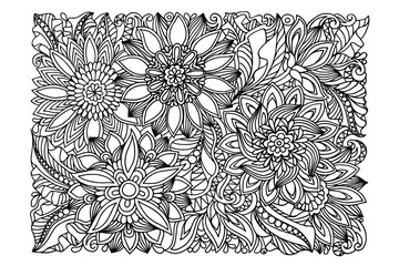 antistress coloring book, for adults, black and white ornament, hand-drawn paisley, ethnic motifs. Vector illustration