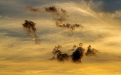 Shroud of clouds. Light and dark clouds in the sunset sky.