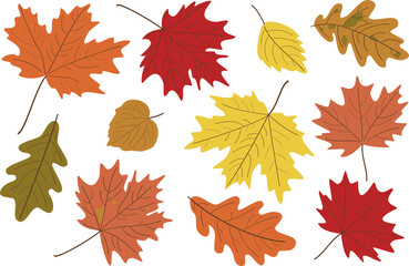 Vector illustration, set of bright realistic autumn leaves. Fall leaves background. Maple, Linden, oak and poplar leaves.