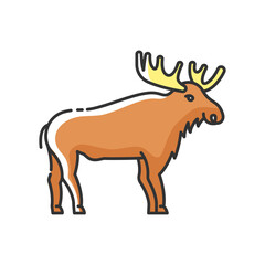 Elk RGB color icon. Hoofed ruminant animal with large antlers. American forest wildlife. Herbivore wapiti with big horns. Canadian moose isolated vector illustration