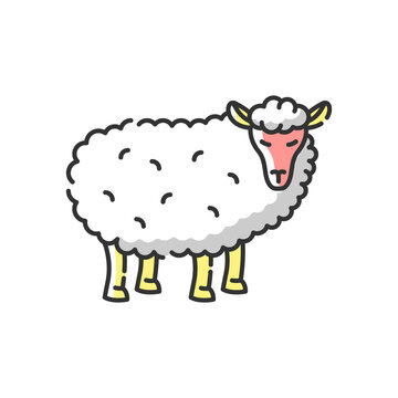 Sheep RGB color icon. Common countryside mammal, farm wildlife, domestic animal. Livestock breeding, husbandry, farming. Wooly lamb isolated vector illustration