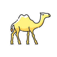 Camel RGB color icon. Arabian domesticated animal, tropical climate fauna. Exotic wildlife, wilderness inhabitant. Two humped camel isolated vector illustration