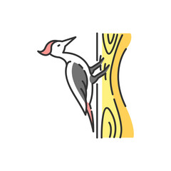Woodpecker RGB color icon. Common bird, forest inhabitant, flying woodland creature. Zoology, ornithology. Pecker sitting on tree isolated vector illustration